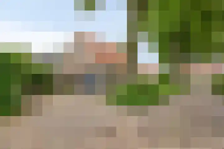Anjelierstraat 2 E Heerenveen thumbnail 36