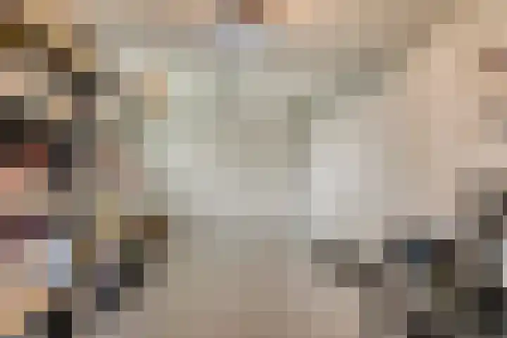 Anjelierstraat 2 E Heerenveen thumbnail 38