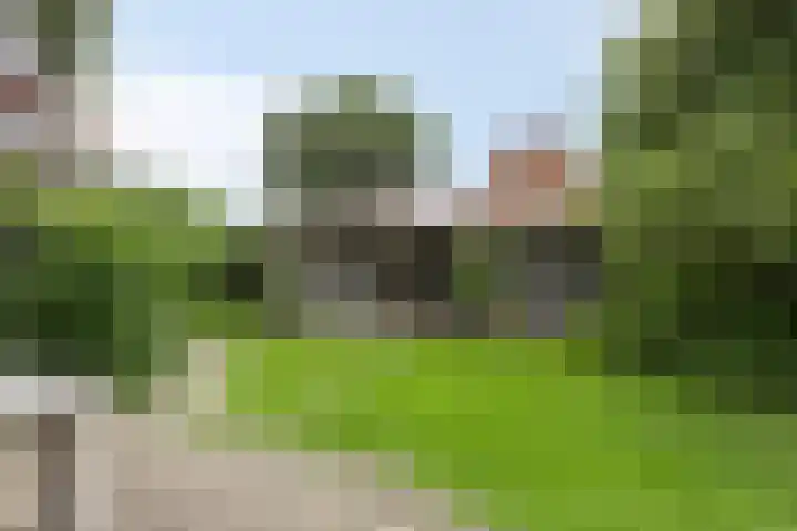 Anjelierstraat 2 E Heerenveen thumbnail 39
