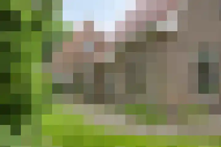 Anjelierstraat 2 E Heerenveen thumbnail 4