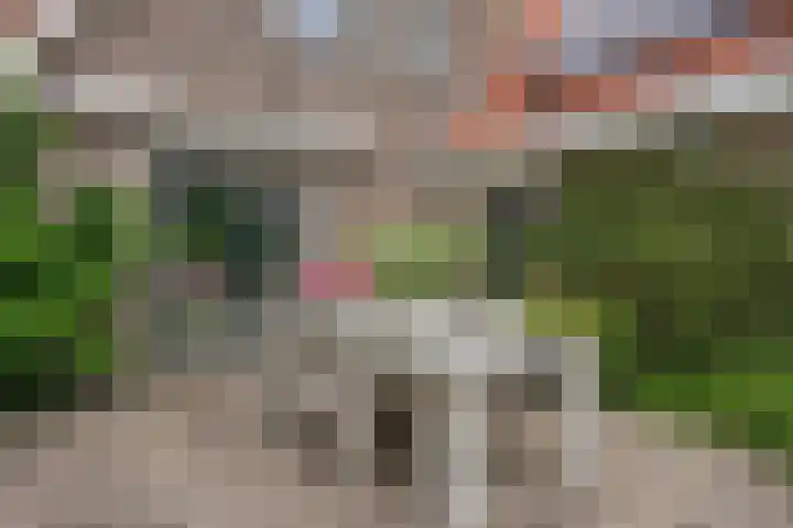 Anjelierstraat 2 E Heerenveen thumbnail 40
