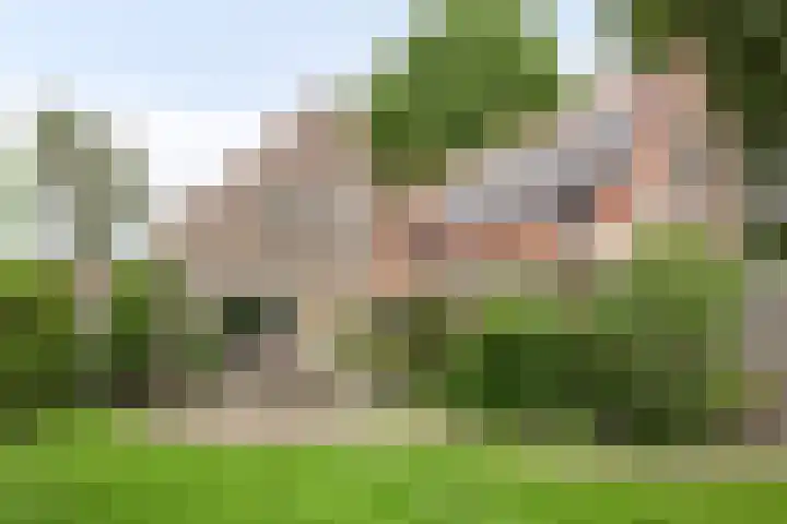 Anjelierstraat 2 E Heerenveen thumbnail 41