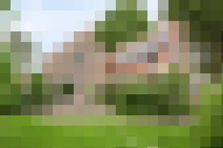 Anjelierstraat 2 E Heerenveen thumbnail 42