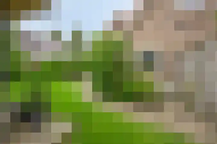 Anjelierstraat 2 E Heerenveen thumbnail 44