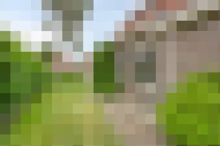 Anjelierstraat 2 E Heerenveen thumbnail 45