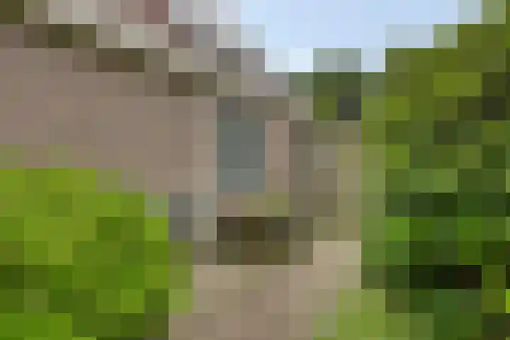 Anjelierstraat 2 E Heerenveen thumbnail 46