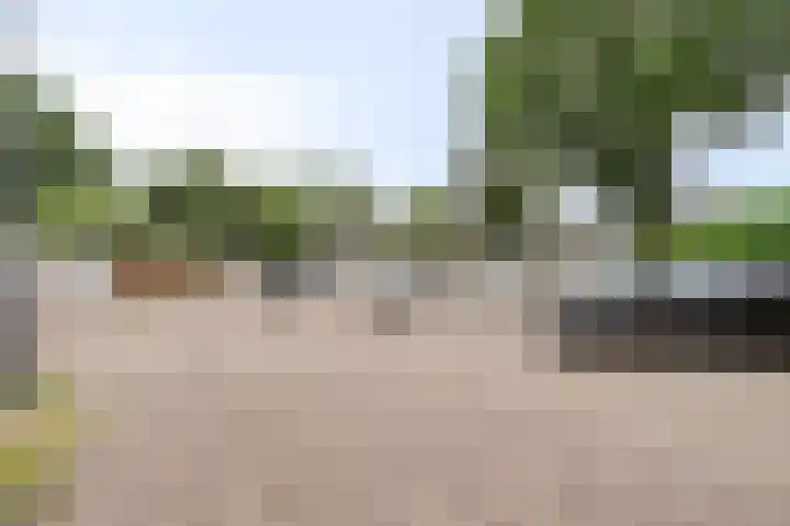 Anjelierstraat 2 E Heerenveen thumbnail 47