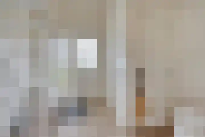 Anjelierstraat 2 E Heerenveen thumbnail 5