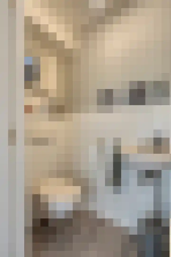 Anjelierstraat 2 E Heerenveen thumbnail 7