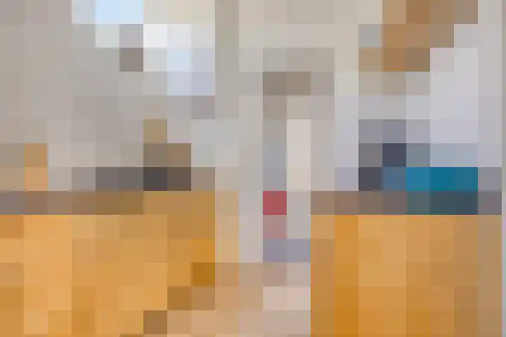 Anjelierstraat 20 Hilversum thumbnail 14