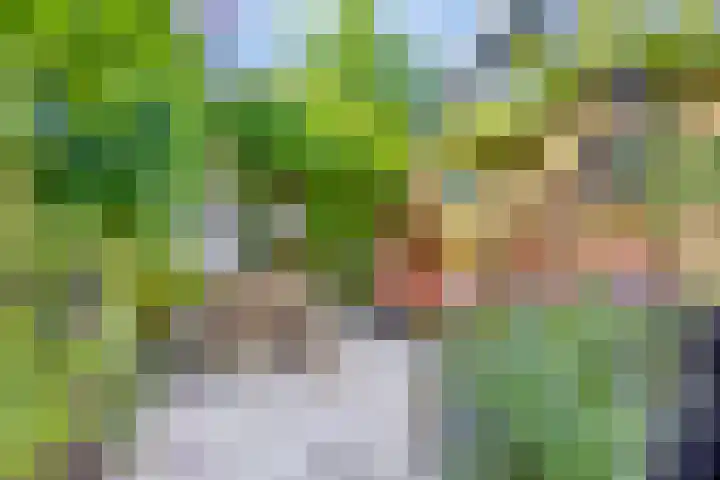 Anjelierstraat 20 Hilversum thumbnail 25