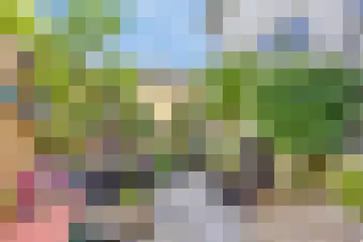 Anjelierstraat 20 Hilversum thumbnail 26