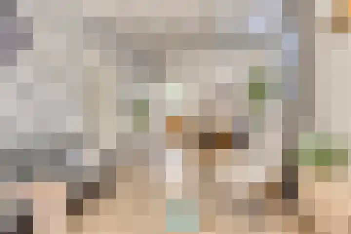 Anjelierstraat 20 Hilversum thumbnail 6