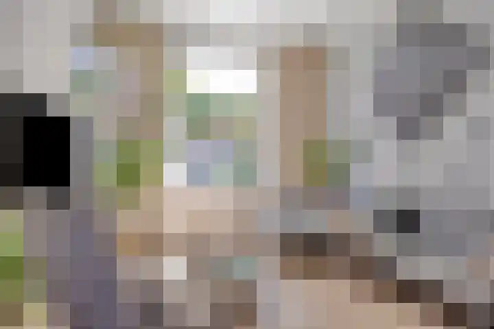 Anjelierstraat 20 Hilversum thumbnail 7