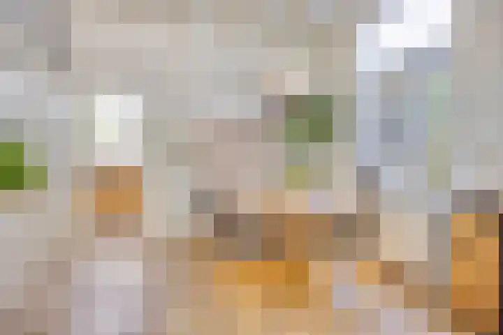 Anjelierstraat 20 Hilversum thumbnail 8