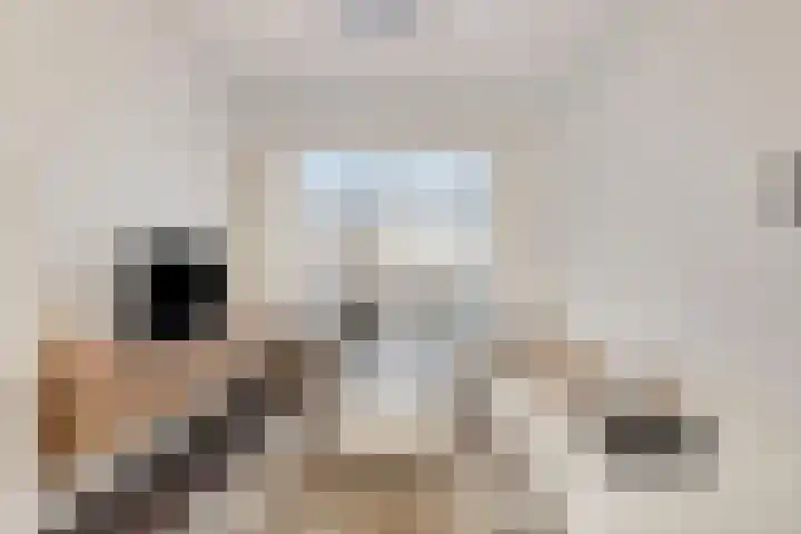 Anjelierstraat 25 Eindhoven thumbnail 11