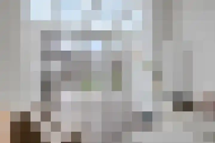 Anjelierstraat 25 Eindhoven thumbnail 13