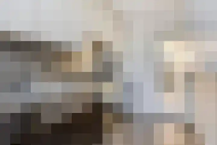 Anjelierstraat 25 Eindhoven thumbnail 15