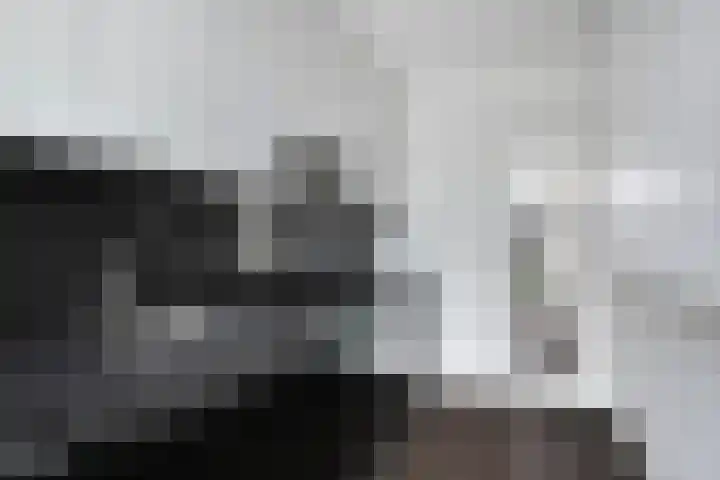 Anjelierstraat 25 Eindhoven thumbnail 17
