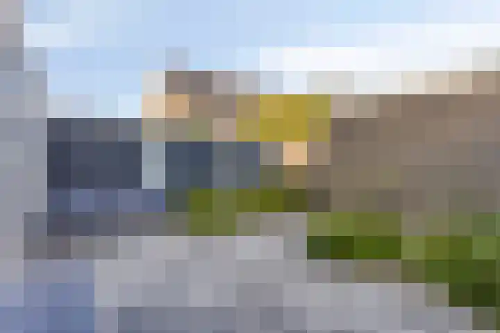 Anjelierstraat 25 Eindhoven thumbnail 19
