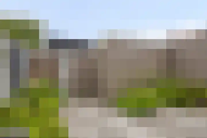 Anjelierstraat 25 Eindhoven thumbnail 20
