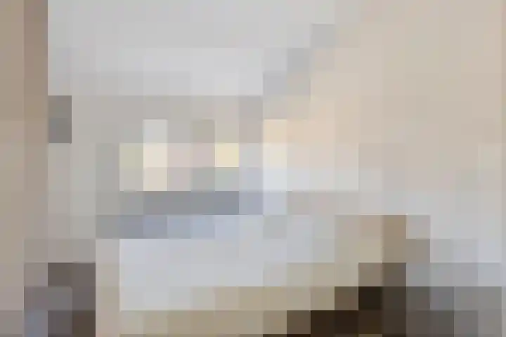 Anjelierstraat 25 Eindhoven thumbnail 23