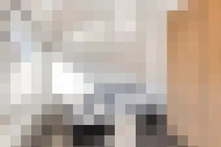 Anjelierstraat 25 Eindhoven thumbnail 26