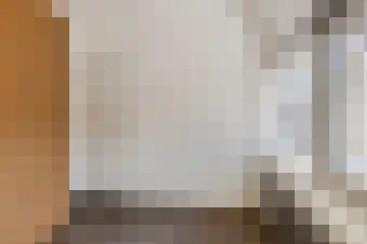 Anjelierstraat 25 Eindhoven thumbnail 27