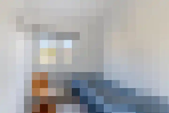 Anjelierstraat 25 Eindhoven thumbnail 28