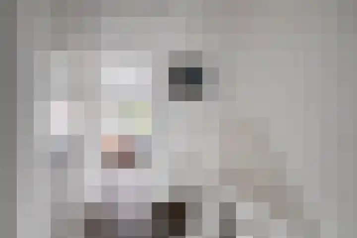 Anjelierstraat 25 Eindhoven thumbnail 29