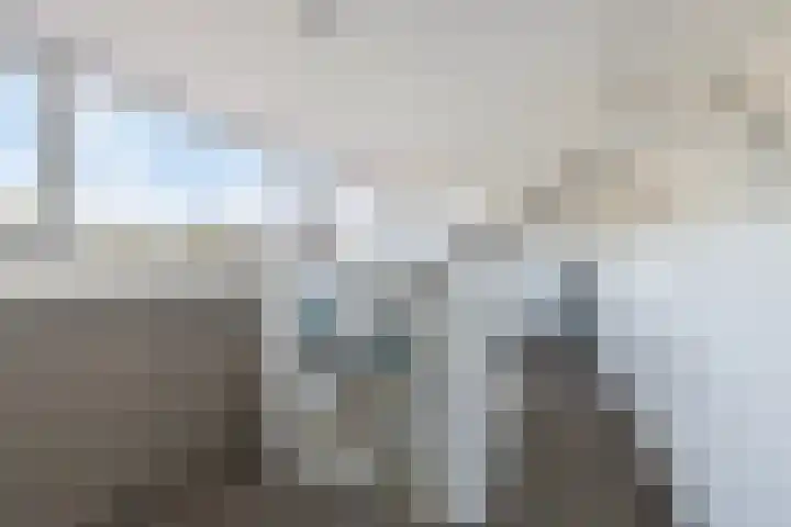Anjelierstraat 25 Eindhoven thumbnail 30