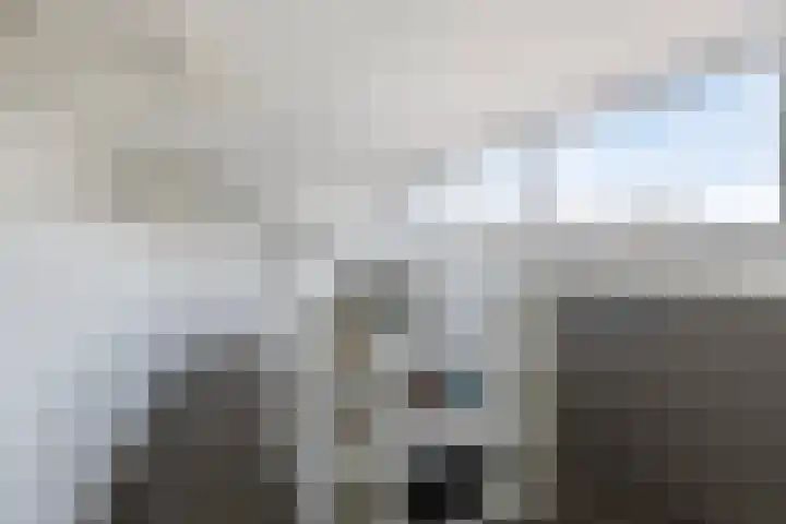 Anjelierstraat 25 Eindhoven thumbnail 31