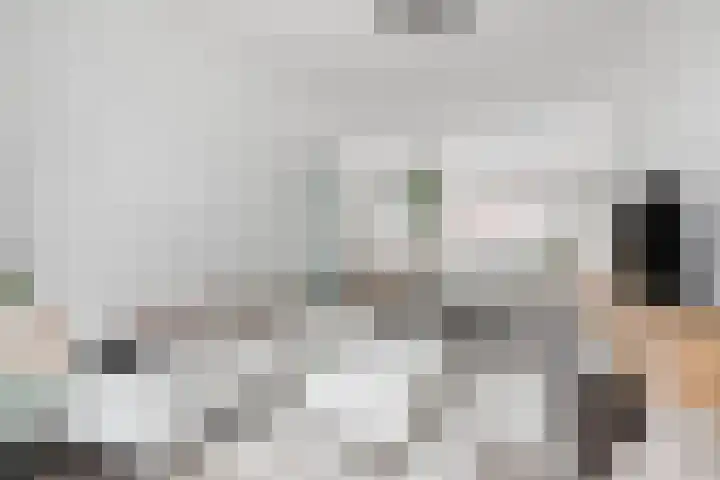 Anjelierstraat 25 Eindhoven thumbnail 8