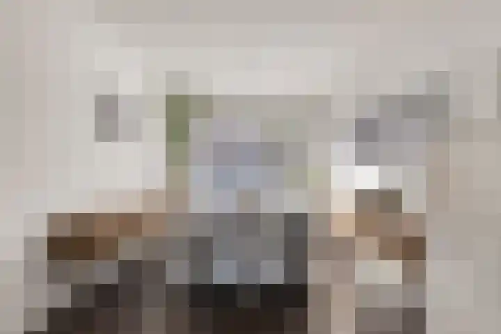 Anjelierstraat 25 Eindhoven thumbnail 9
