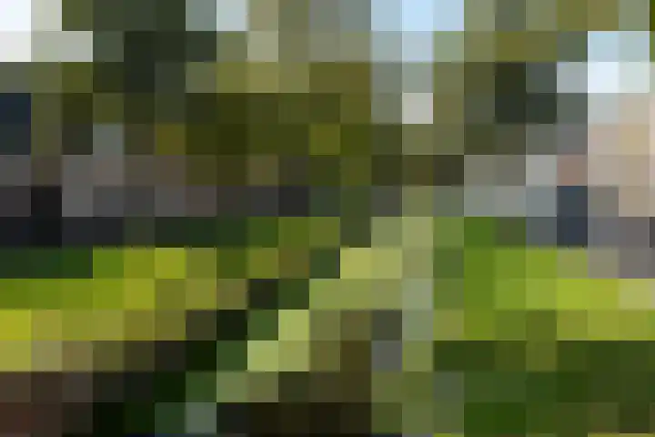 Anjelierstraat 3 Dokkum thumbnail 37