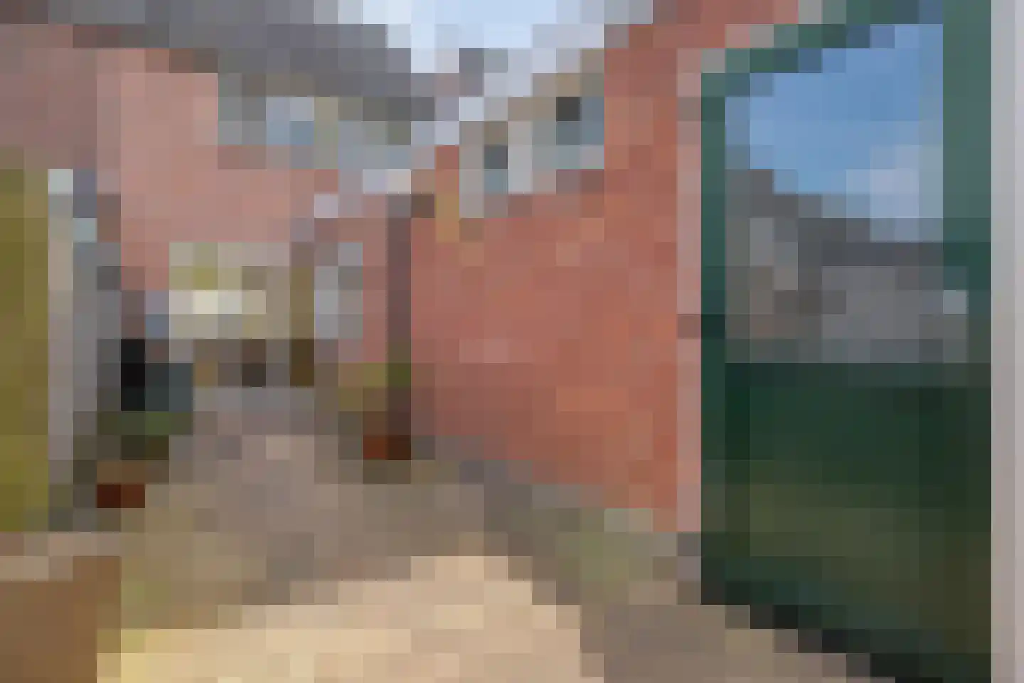 Anjelierstraat 3 Meppel thumbnail 32