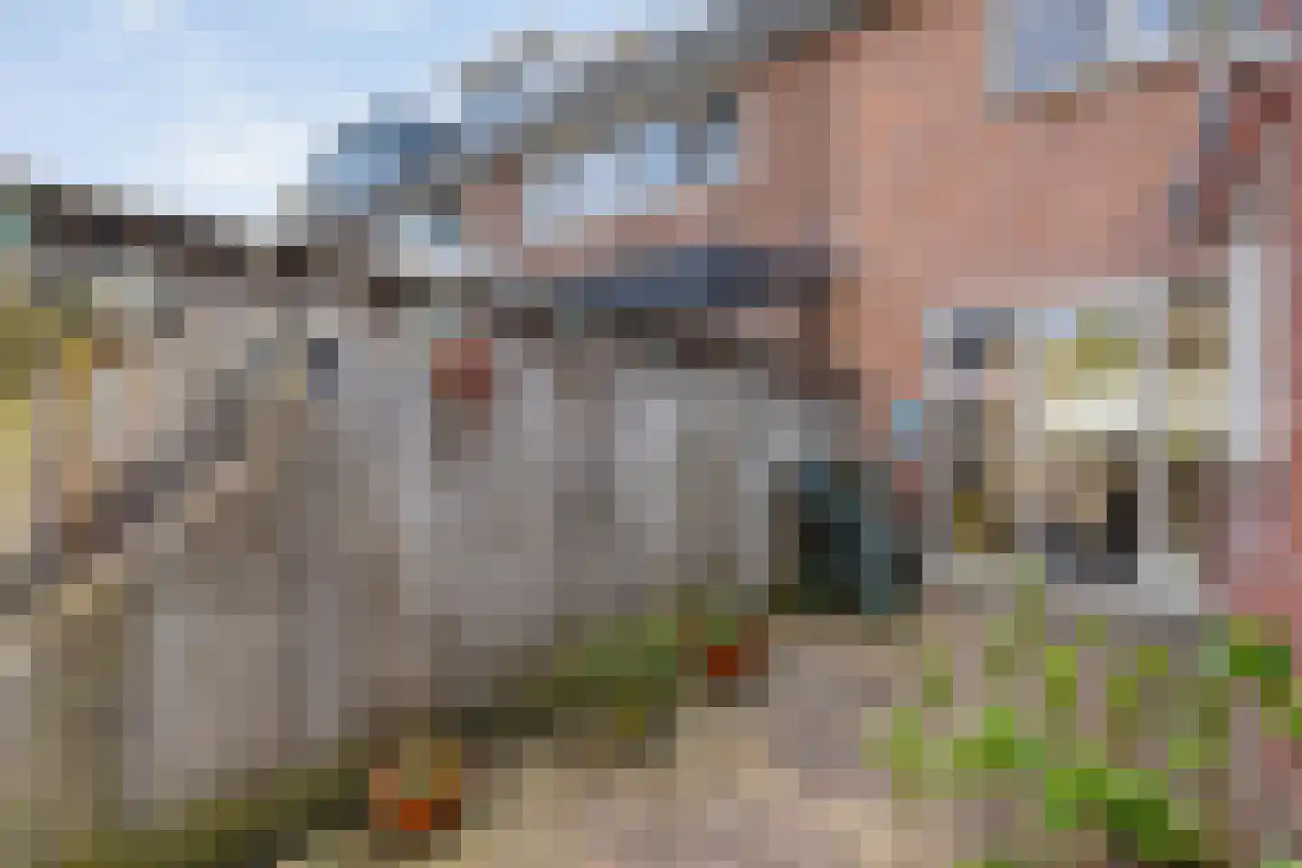 Anjelierstraat 3 Meppel thumbnail 33