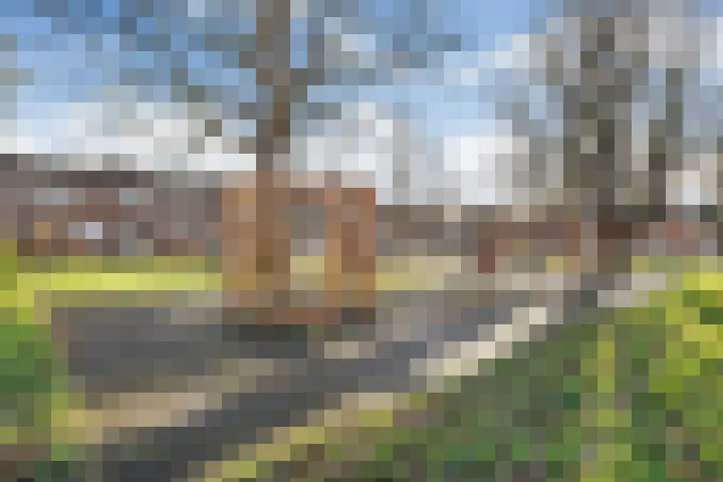 Anjelierstraat 3 Meppel thumbnail 38