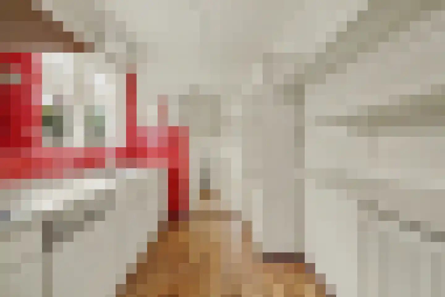 Anjelierstraat 30 Goes thumbnail 10