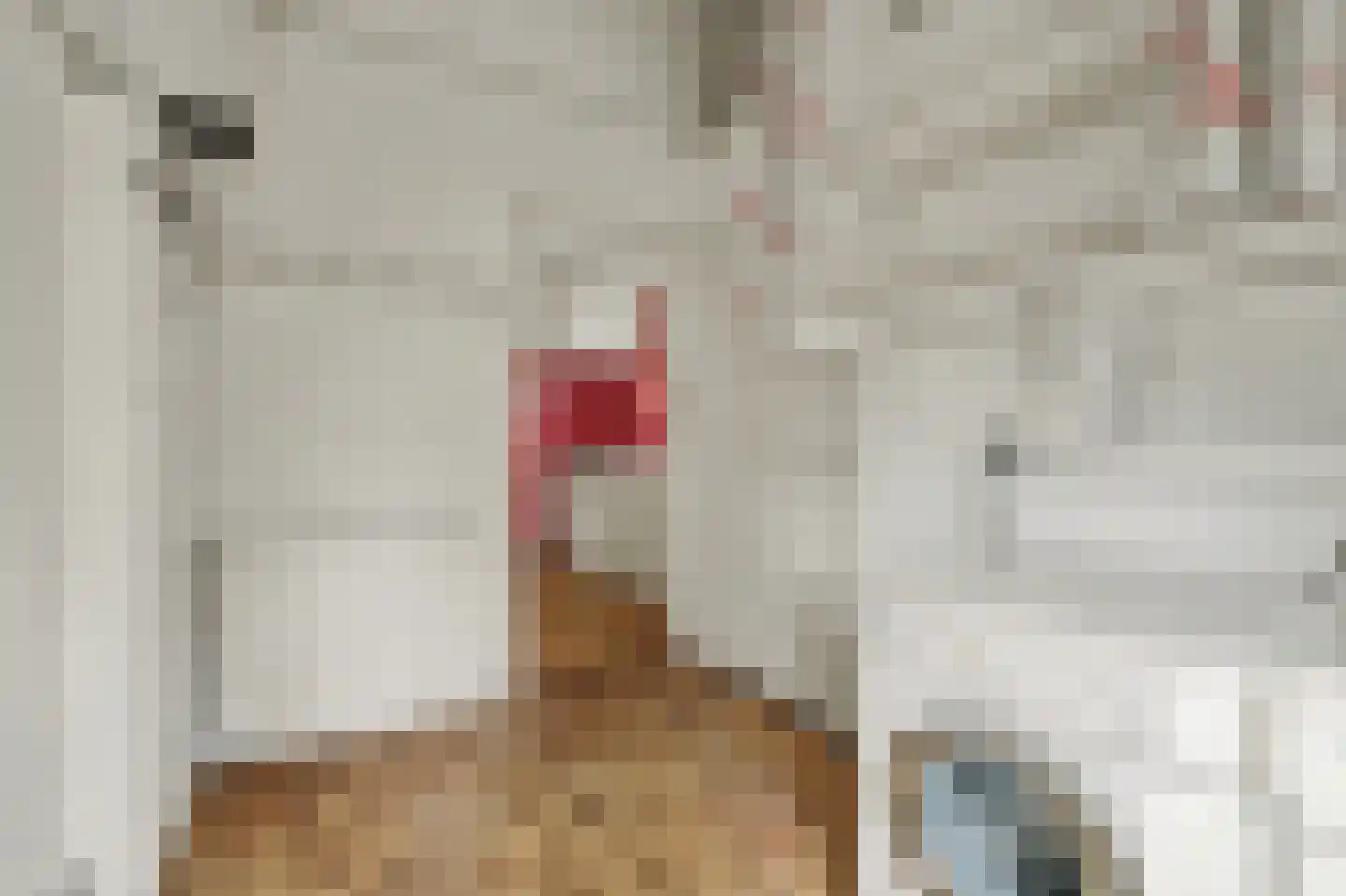 Anjelierstraat 30 Goes thumbnail 13