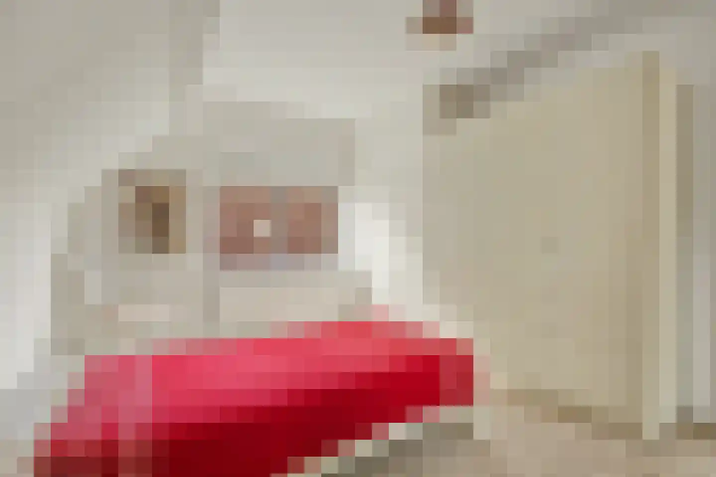 Anjelierstraat 30 Goes thumbnail 17