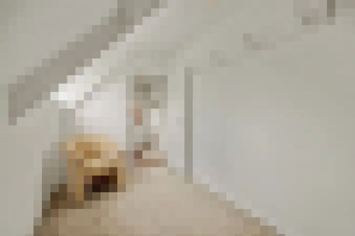 Anjelierstraat 30 Goes thumbnail 20