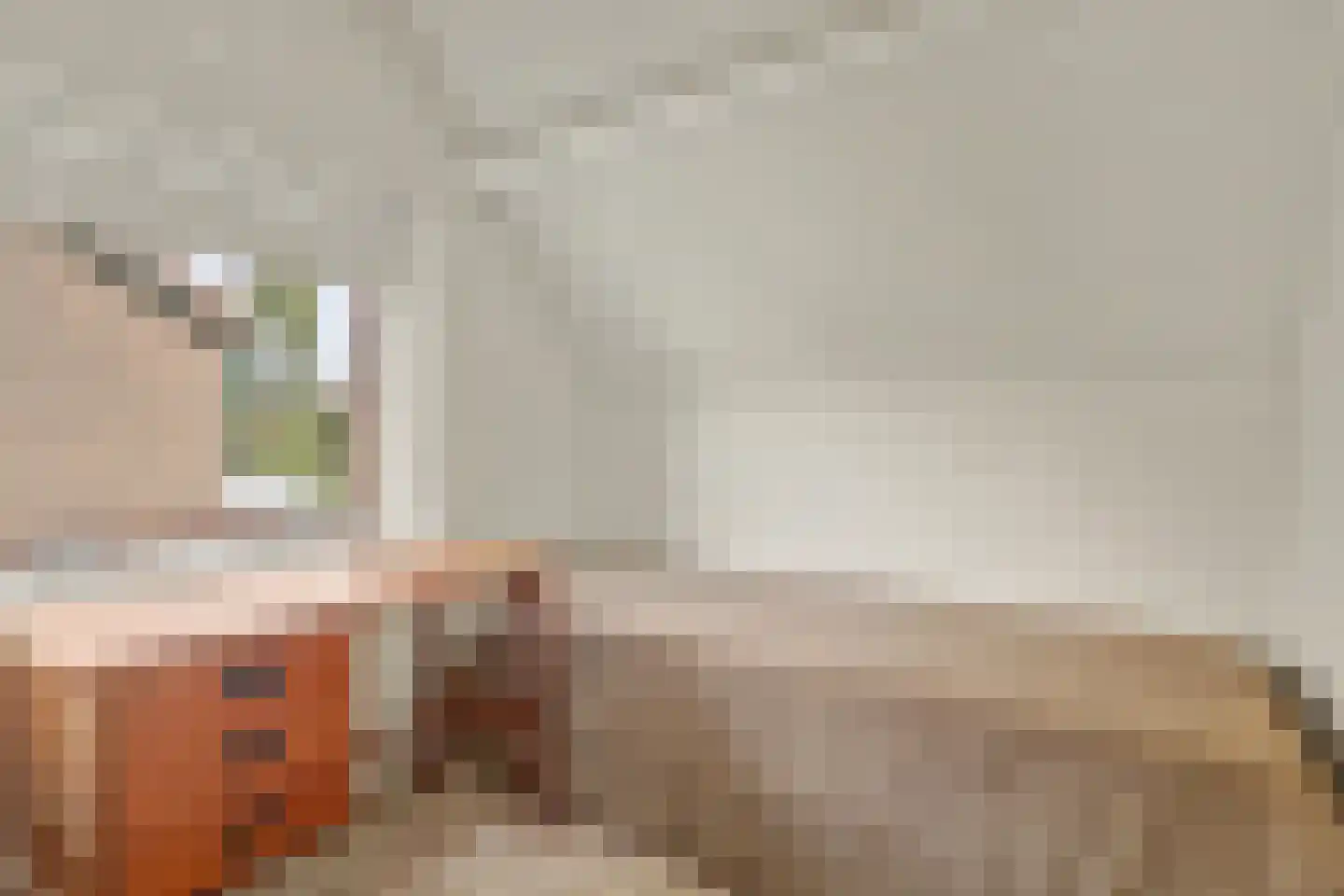 Anjelierstraat 30 Goes thumbnail 21