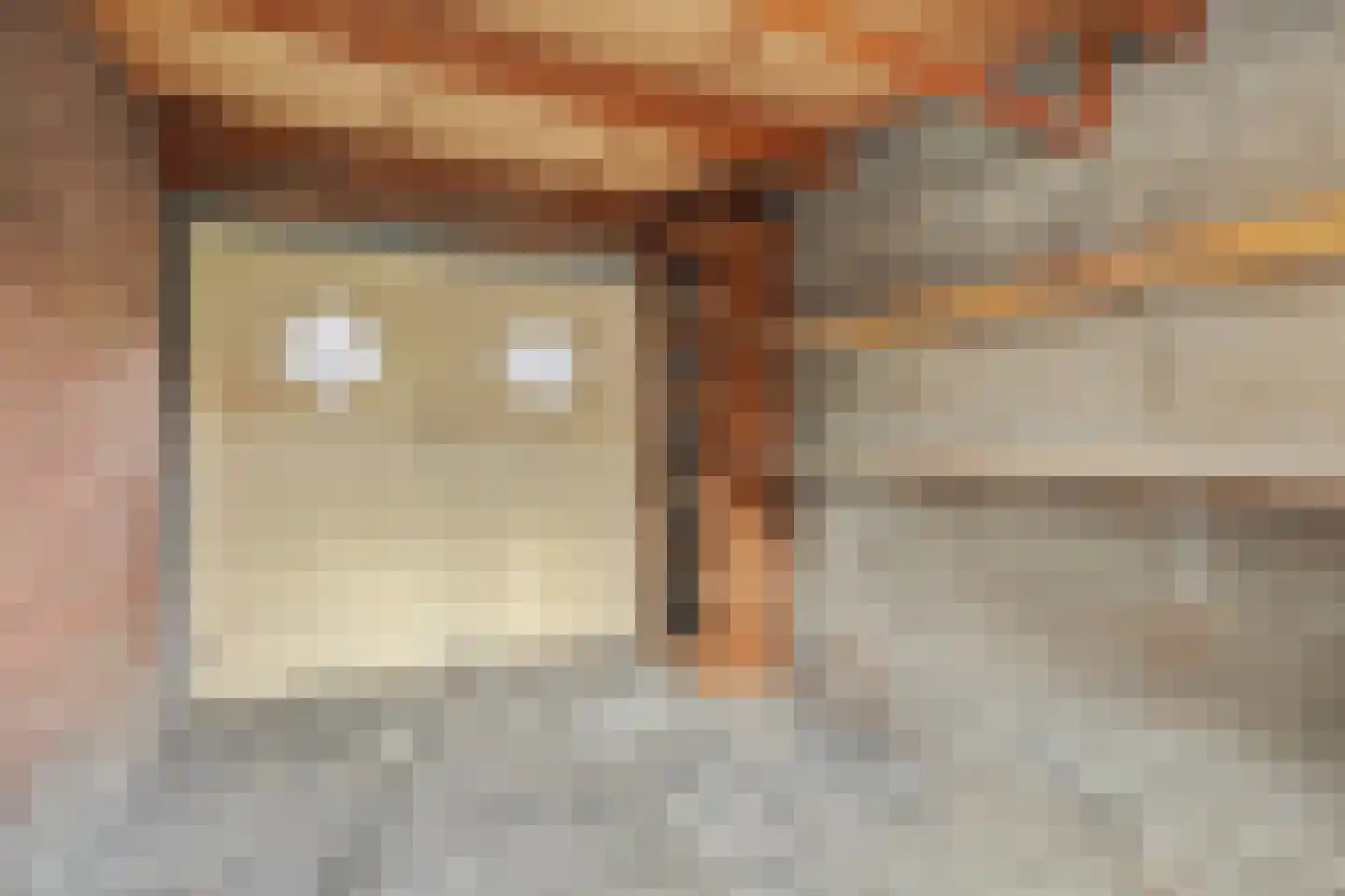 Anjelierstraat 30 Goes thumbnail 24