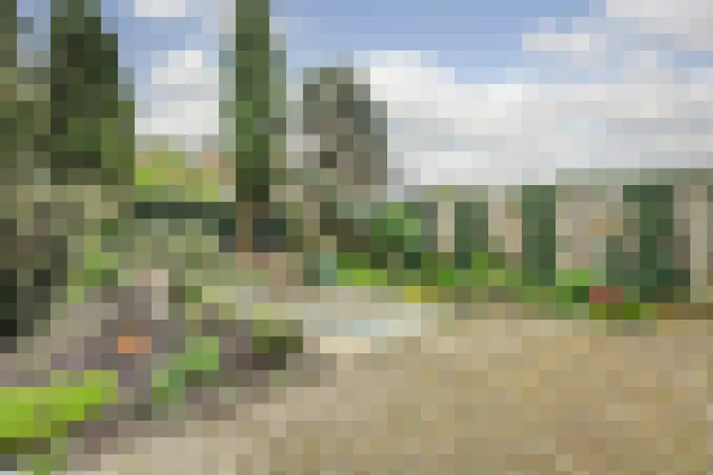 Anjelierstraat 30 Goes thumbnail 29