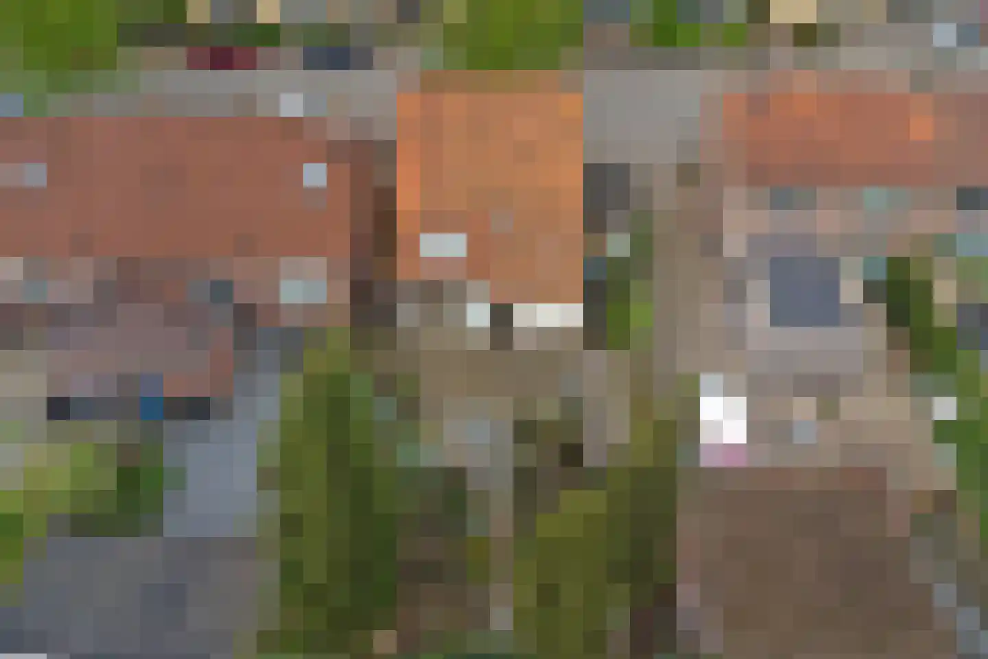 Anjelierstraat 30 Goes thumbnail 30