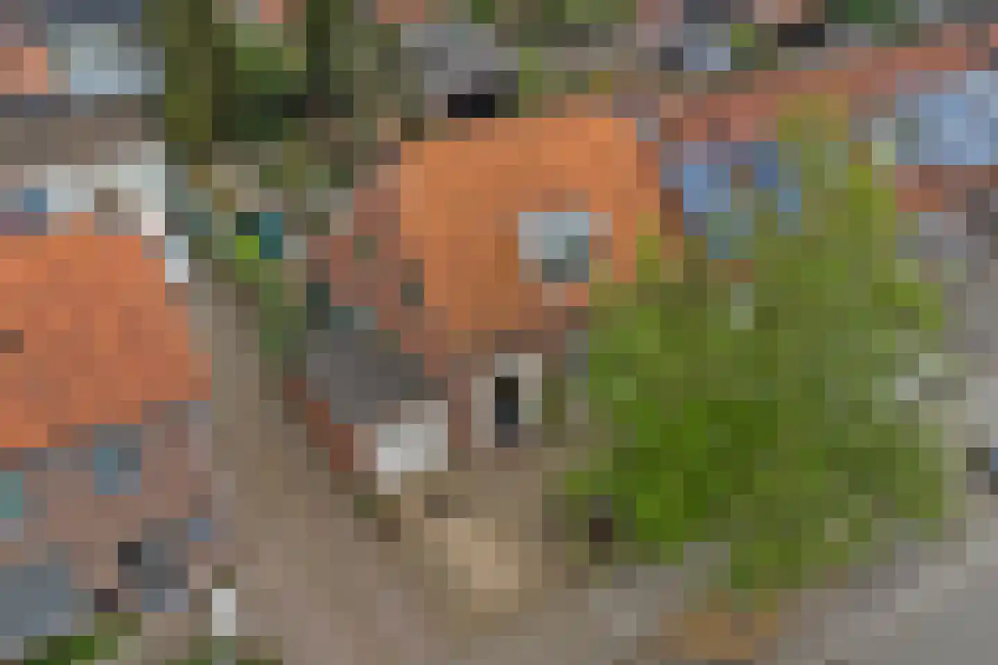 Anjelierstraat 30 Goes thumbnail 32
