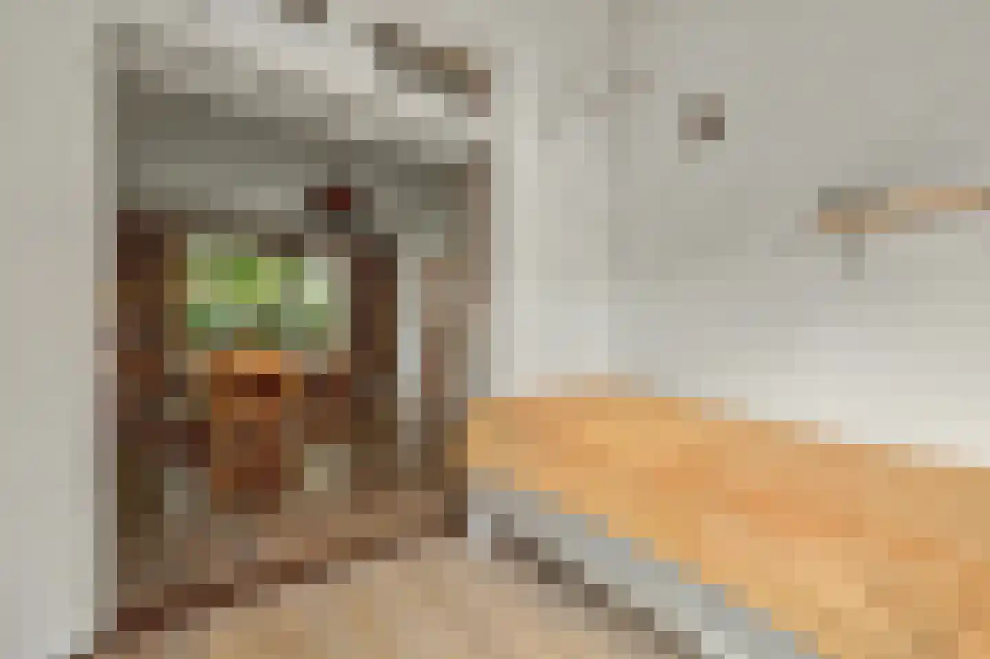 Anjelierstraat 30 Goes thumbnail 9