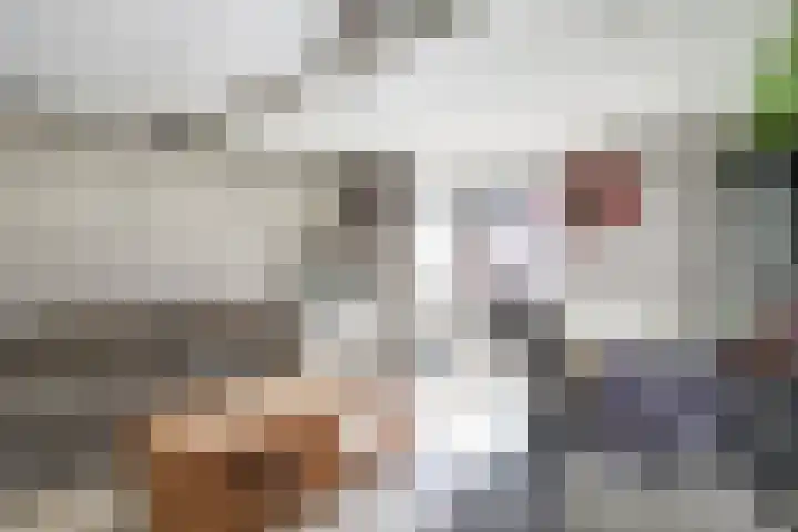 Anjelierstraat 32 Almelo thumbnail 21