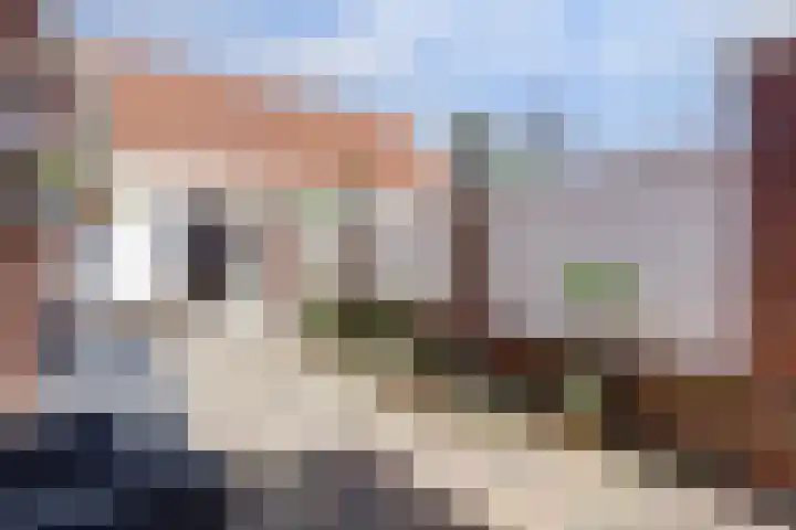 Anjelierstraat 32 Almelo thumbnail 24